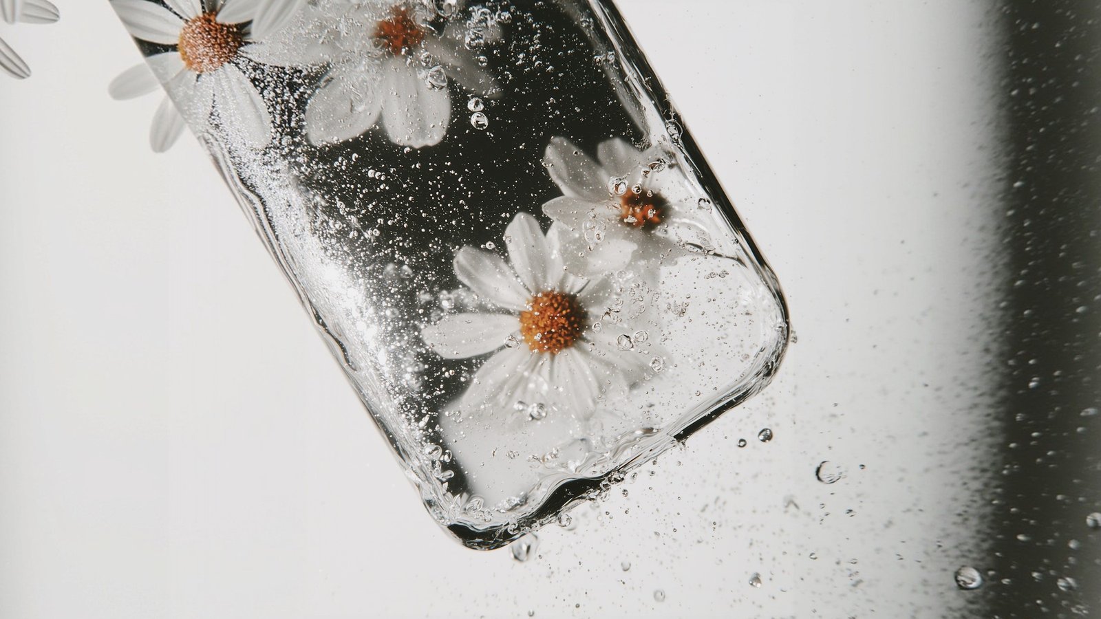 Flowers inside a clear glass case
