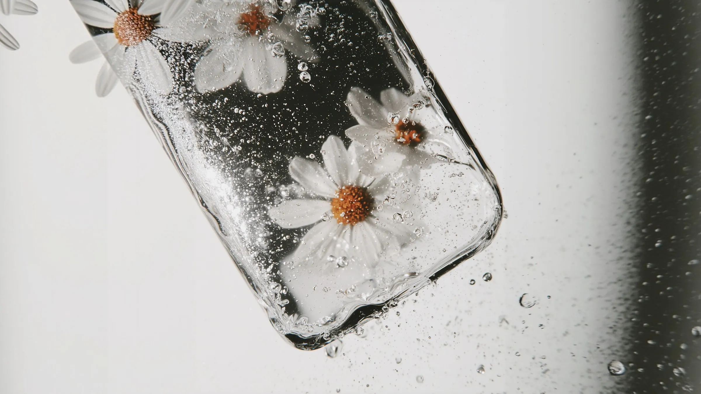 Flowers inside a clear glass case