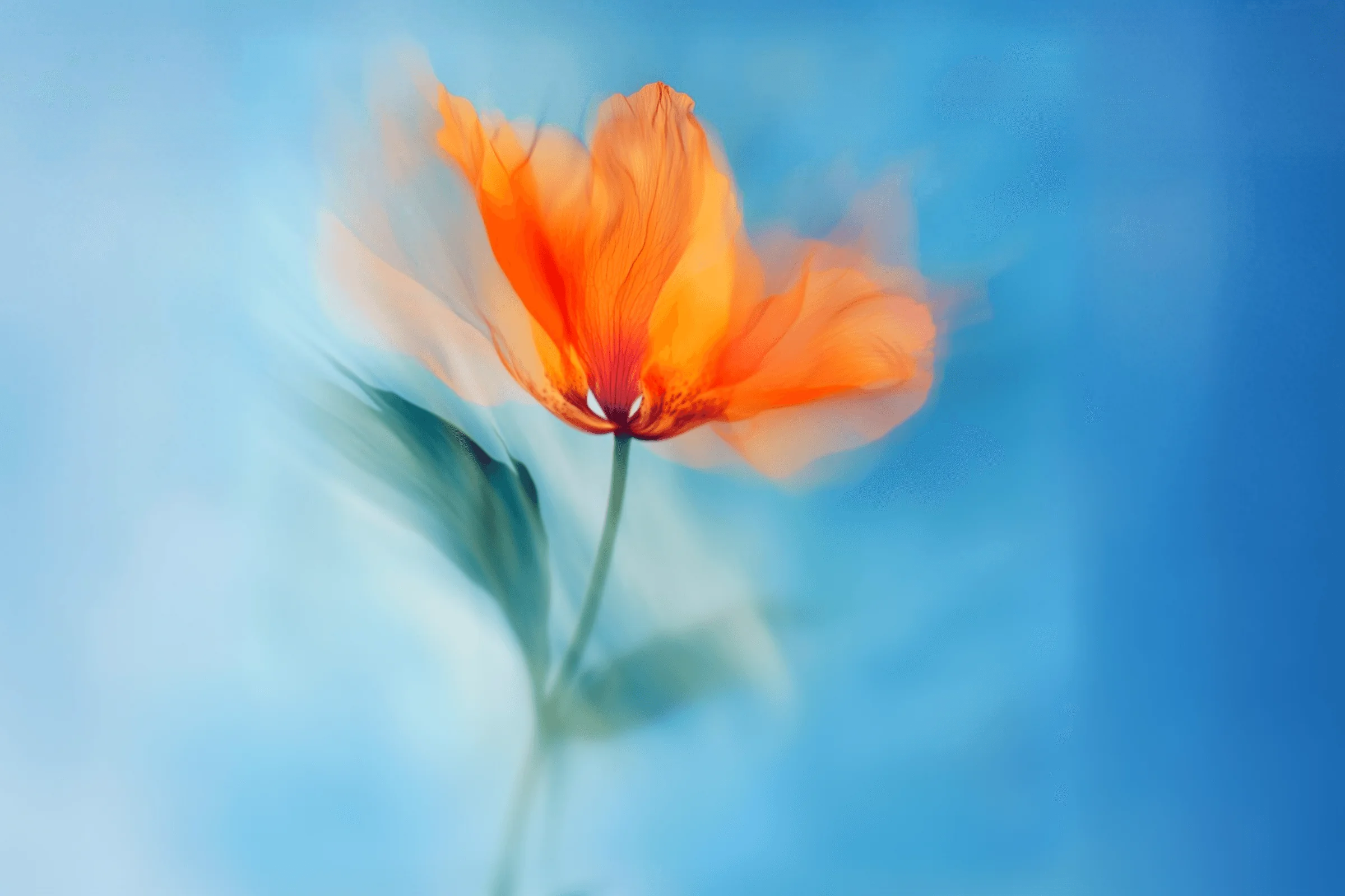 Orange flower on a blue background behind the free marketing audit form
