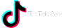 TikTok Ads platform for paid social media advertising